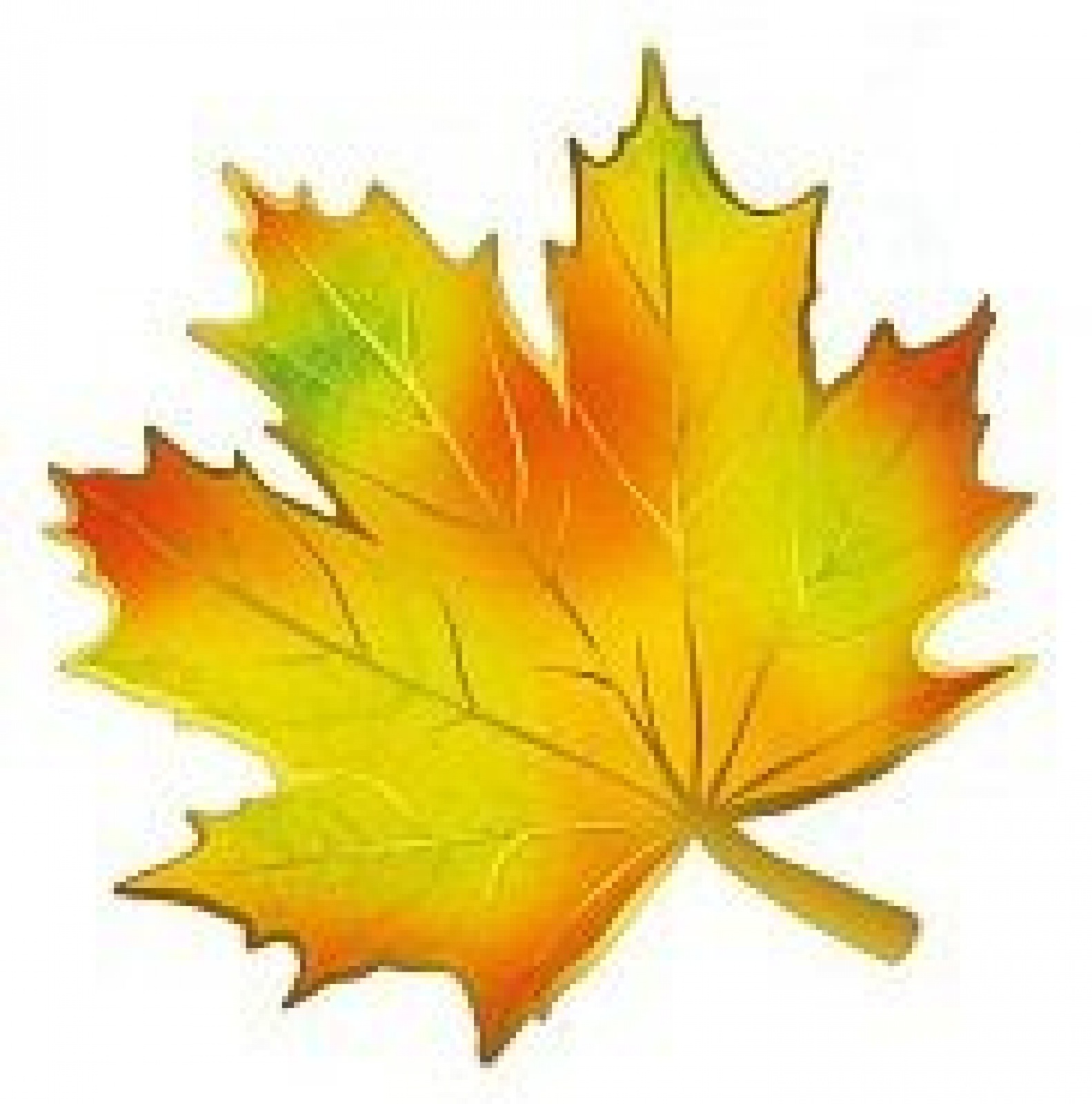 Лист осенний жёлтый 01