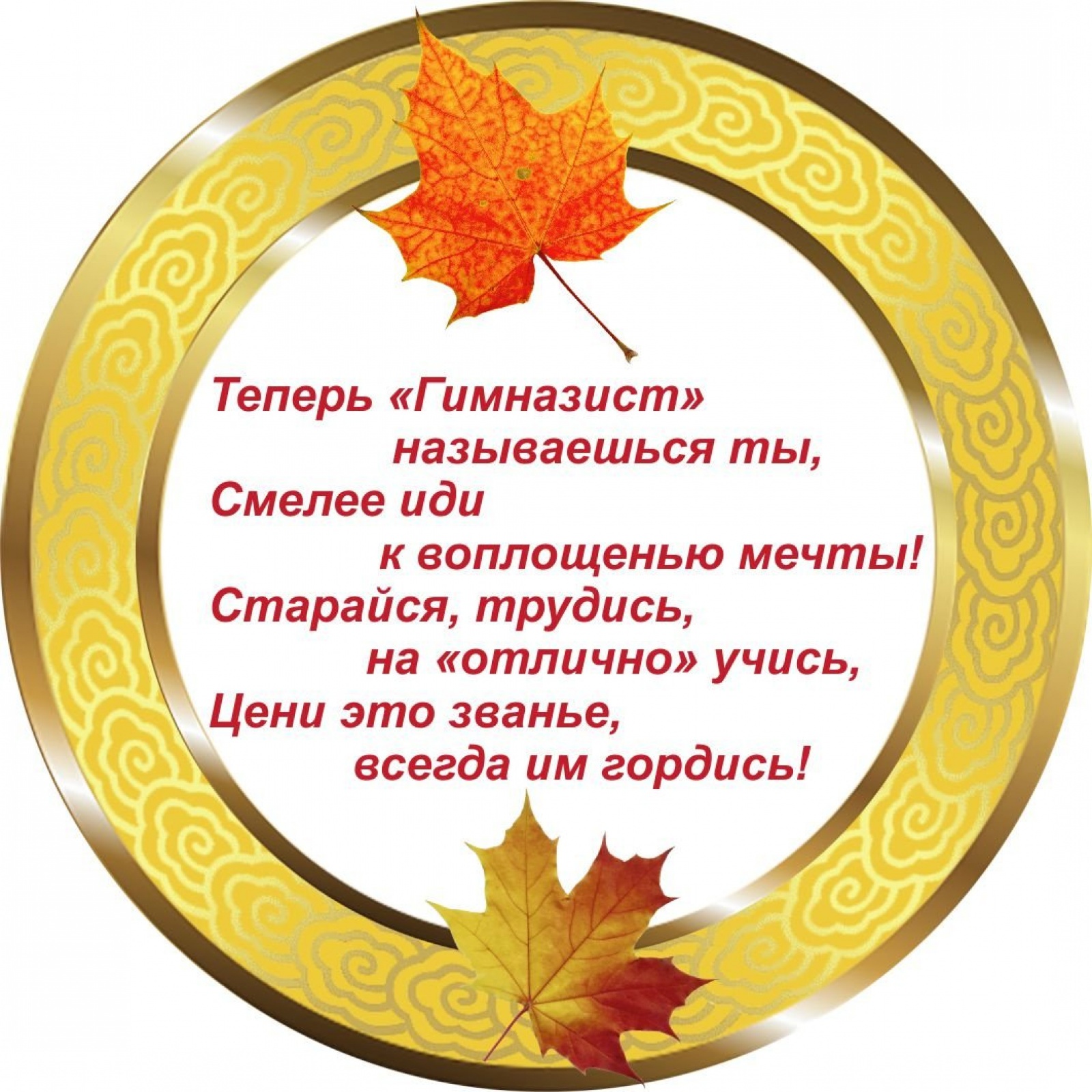 Медалька Гимназист 1В