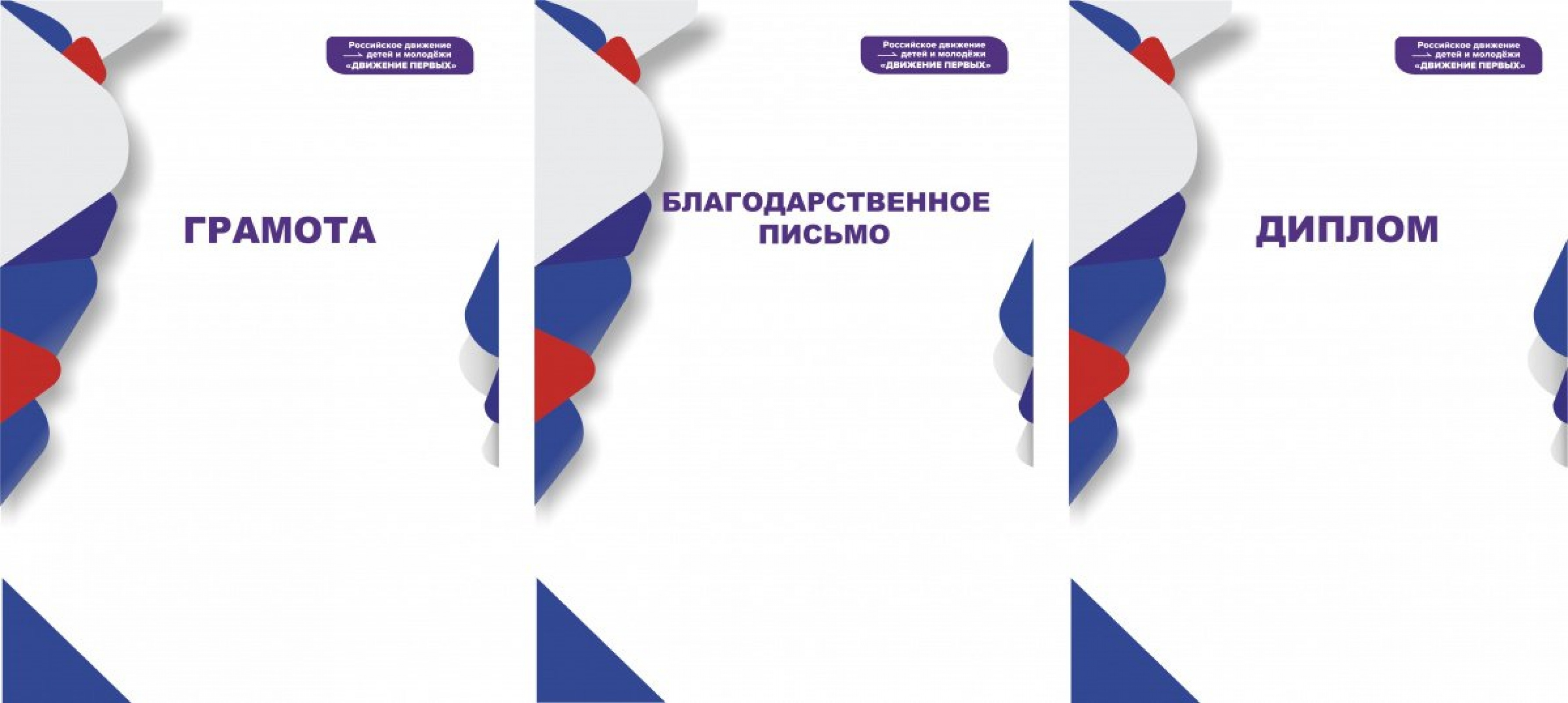 Диплом Движение Первых