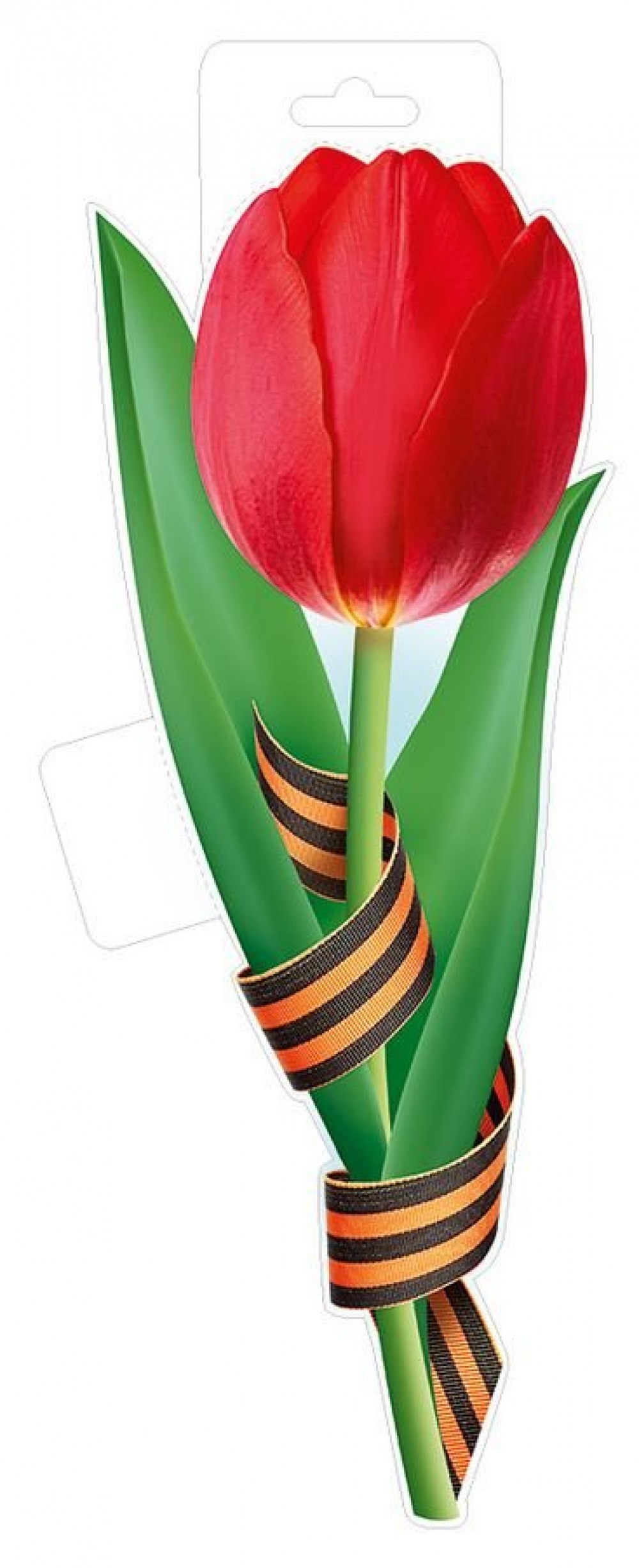 Красный тюльпан с георгиевской лентой