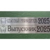 Лента серебристая из креп-сатина