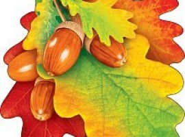 Лист-украшение на скотче из картона, плотность 300гр, поштучно, размер 15см*15см.

Подойдёт для у...