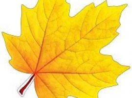 Лист-украшение на скотче из картона, плотность 300гр, поштучно, размер 15см*15см.

Подойдёт для у...