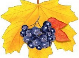 Лист-украшение на скотче из картона, плотность 300гр, поштучно, размер 20см*20см.

Подойдёт для у...