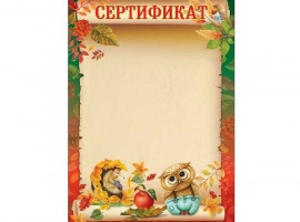 Сертификаты на осеннюю тематику.
Изготовлены из матовой белой бумаги плотностью 160гр.
Размер все...