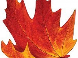 Лист-украшение на скотче из картона, плотность 300гр, поштучно, размер 15см*15см.

Подойдёт для у...