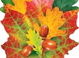 Лист-украшение на скотче из картона, плотность 300гр, поштучно, размер 20см*20см.

Подойдёт для у...