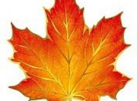 Лист для украшения, отделка фольгой, плотность 160гр, поштучно.

Подойдёт для украшения класса в ...