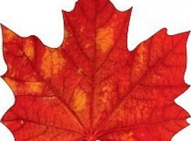 Лист-украшение на скотче из картона, плотность 300гр, поштучно, размер 15см*15см.

Подойдёт для у...