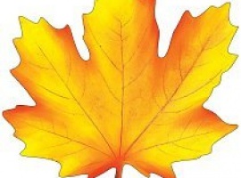 Лист-украшение на скотче из картона, плотность 300гр, поштучно, размер 20см*20см.

Подойдёт для у...