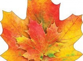 Лист-украшение на скотче из картона, плотность 300гр, поштучно, размер 20см*20см.

Подойдёт для у...