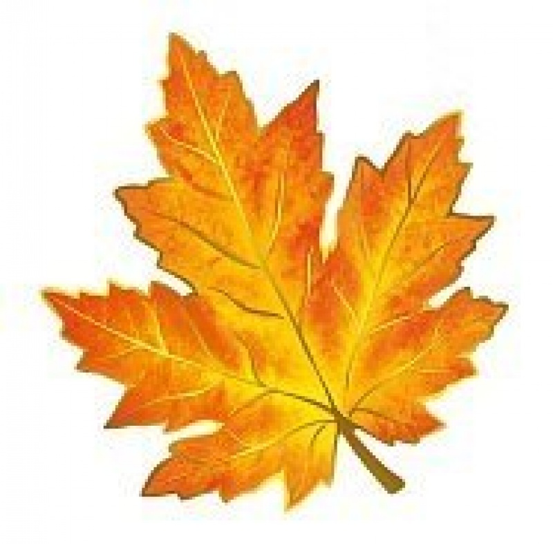 Листик для украшения оранжевый 02