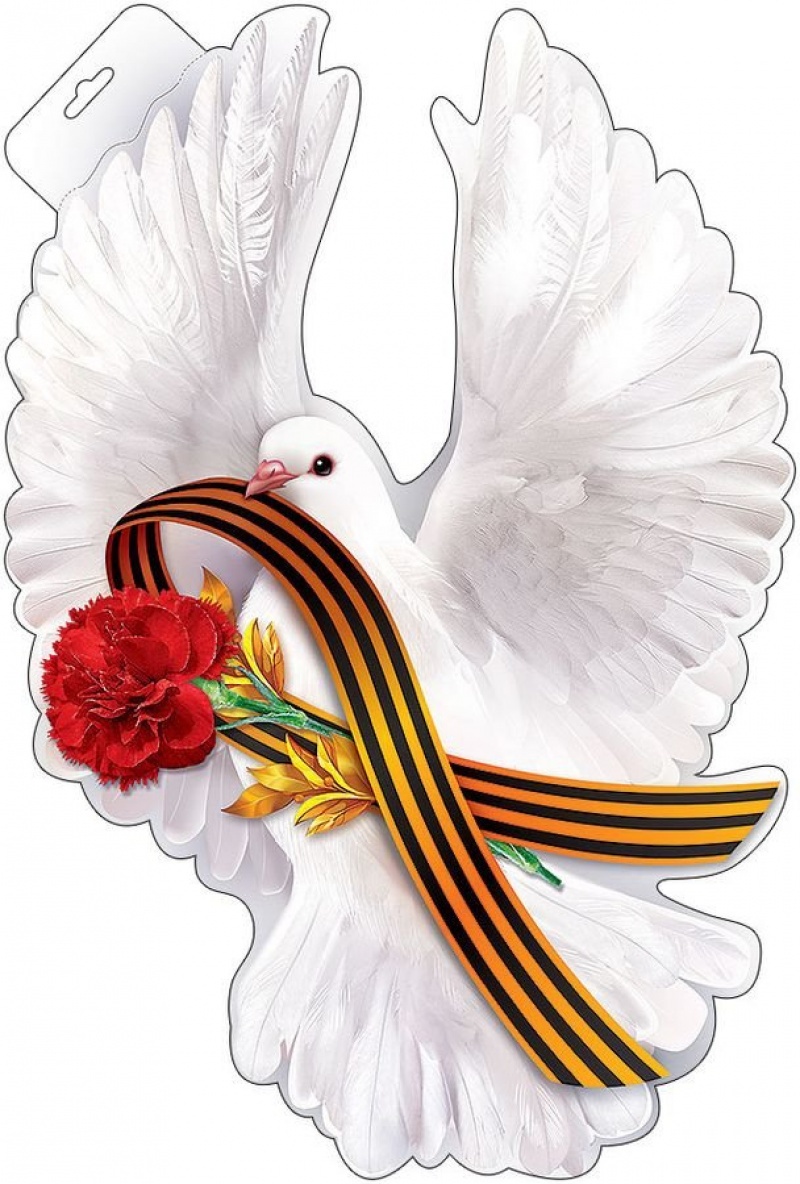 Голубь с георг.лентой