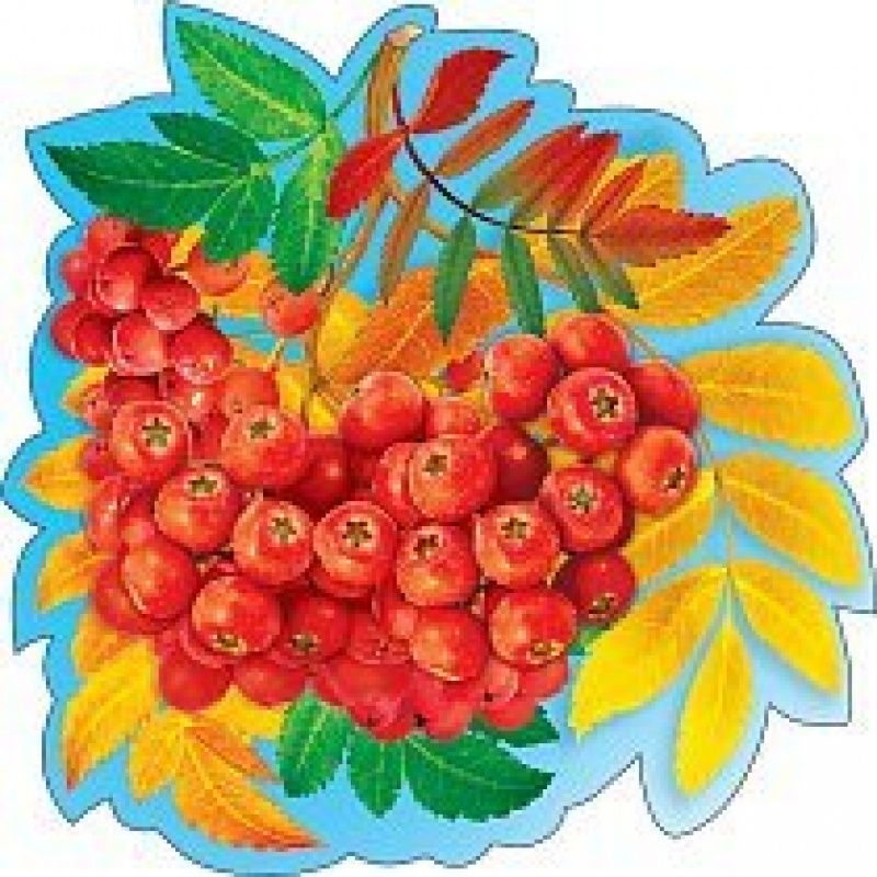 Осенний лист (с рябиной)