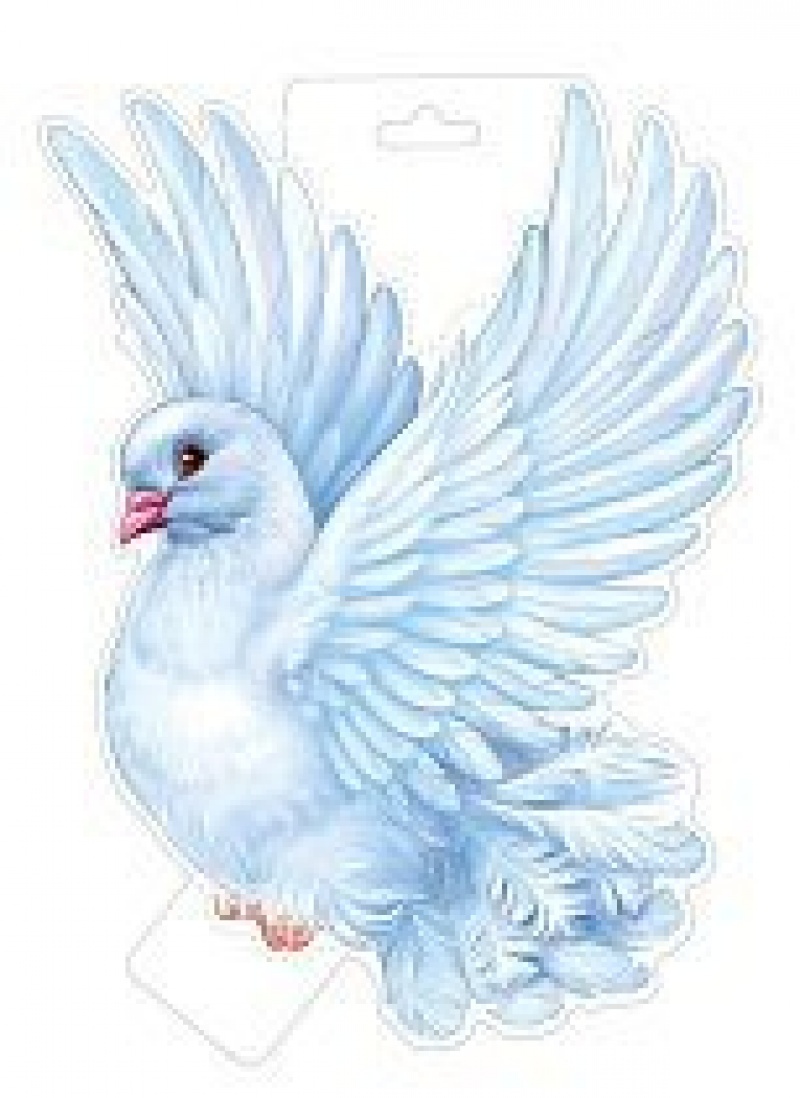 Голубь А4 (3)