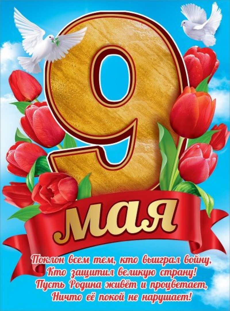 9 Мая Голуби (плакат А2)