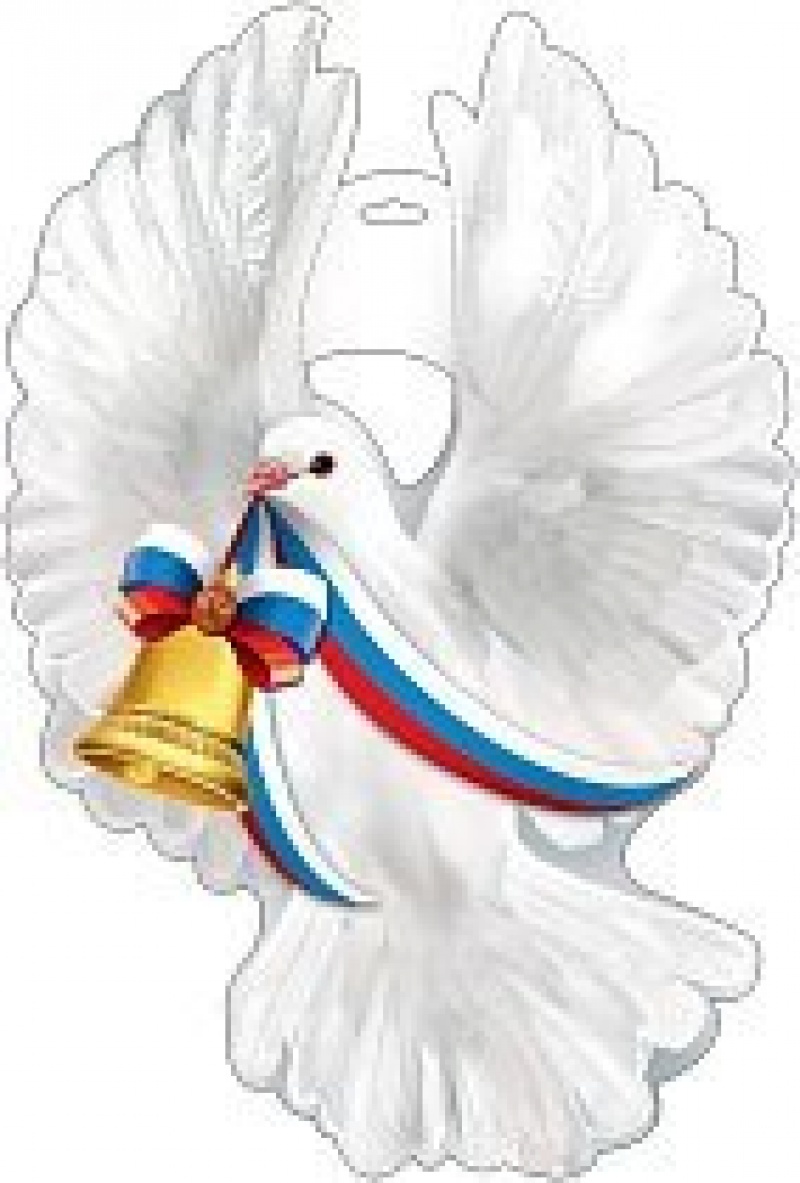 Голубь плакат А3 колокольчик триколор